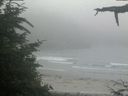 ./images/calvert/beach/20210704/beach20210704_203503.jpg