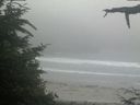 ./images/calvert/beach/20210704/beach20210704_204003.jpg
