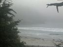 ./images/calvert/beach/20210704/beach20210704_204503.jpg