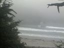 ./images/calvert/beach/20210704/beach20210704_205002.jpg