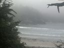 ./images/calvert/beach/20210704/beach20210704_205502.jpg