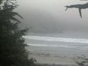./images/calvert/beach/20210704/beach20210704_210501.jpg