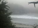 ./images/calvert/beach/20210704/beach20210704_212502.jpg
