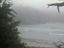 ./images/calvert/beach/20210704/beach20210704_213502.jpg