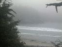 ./images/calvert/beach/20210704/beach20210704_214502.jpg