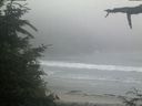 ./images/calvert/beach/20210704/beach20210704_215003.jpg