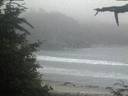 ./images/calvert/beach/20210704/beach20210704_220503.jpg