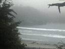 ./images/calvert/beach/20210704/beach20210704_221002.jpg