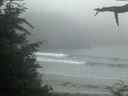 ./images/calvert/beach/20210704/beach20210704_221502.jpg