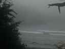 ./images/calvert/beach/20210704/beach20210704_222003.jpg