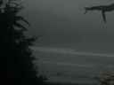 ./images/calvert/beach/20210704/beach20210704_222502.jpg