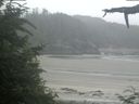 ./images/calvert/beach/20210707/beach20210707_074503.jpg