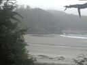 ./images/calvert/beach/20210707/beach20210707_082502.jpg
