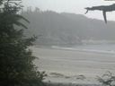 ./images/calvert/beach/20210707/beach20210707_174002.jpg
