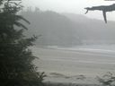 ./images/calvert/beach/20210707/beach20210707_174502.jpg