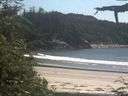 ./images/calvert/beach/20210708/beach20210708_145002.jpg