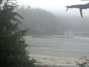 ./images/calvert/beach/20210709/beach20210709_062001.jpg