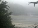 ./images/calvert/beach/20210709/beach20210709_062502.jpg