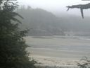 ./images/calvert/beach/20210709/beach20210709_065002.jpg
