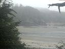 ./images/calvert/beach/20210709/beach20210709_070503.jpg