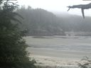 ./images/calvert/beach/20210709/beach20210709_071003.jpg