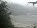 ./images/calvert/beach/20210709/beach20210709_071502.jpg