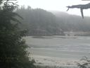 ./images/calvert/beach/20210709/beach20210709_072003.jpg