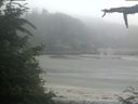 ./images/calvert/beach/20210709/beach20210709_072503.jpg