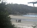 ./images/calvert/beach/20210709/beach20210709_103503.jpg