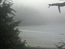 ./images/calvert/beach/20210712/beach20210712_161003.jpg