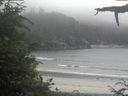 ./images/calvert/beach/20210712/beach20210712_161502.jpg