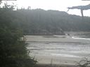 ./images/calvert/beach/20210722/beach20210722_082503.jpg