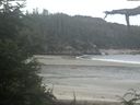 ./images/calvert/beach/20210722/beach20210722_092001.jpg
