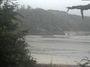 ./images/calvert/beach/20210723/beach20210723_092003.jpg