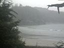 ./images/calvert/beach/20210723/beach20210723_154002.jpg