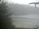 ./images/calvert/beach/20210723/beach20210723_164503.jpg