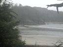 ./images/calvert/beach/20210723/beach20210723_173501.jpg