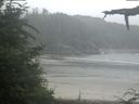 ./images/calvert/beach/20210723/beach20210723_174502.jpg