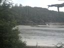 ./images/calvert/beach/20210724/beach20210724_084003.jpg