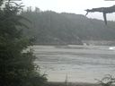 ./images/calvert/beach/20210724/beach20210724_093502.jpg