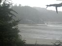 ./images/calvert/beach/20210724/beach20210724_100502.jpg