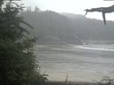 ./images/calvert/beach/20210724/beach20210724_104002.jpg
