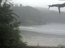 ./images/calvert/beach/20210724/beach20210724_122003.jpg