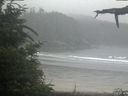 ./images/calvert/beach/20210724/beach20210724_122503.jpg