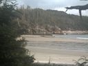 ./images/calvert/beach/20210724/beach20210724_195502.jpg