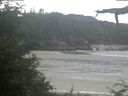 ./images/calvert/beach/20210725/beach20210725_110502.jpg