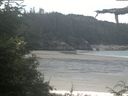 ./images/calvert/beach/20210725/beach20210725_111502.jpg