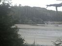 ./images/calvert/beach/20210726/beach20210726_090502.jpg