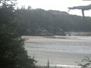 ./images/calvert/beach/20210726/beach20210726_104503.jpg