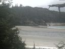 ./images/calvert/beach/20210726/beach20210726_113503.jpg